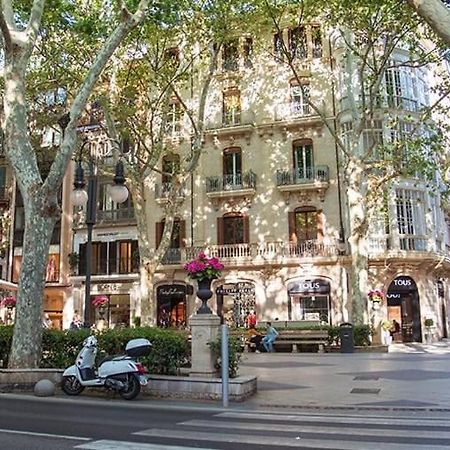 Comfortable Apartment With Character In The Old Town Palma de Mallorca Dış mekan fotoğraf