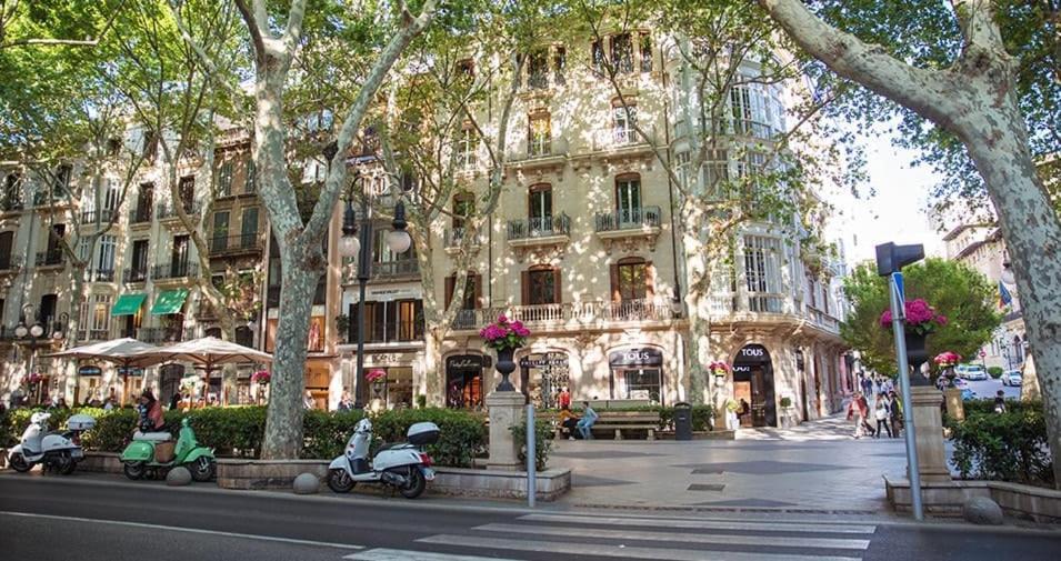 Comfortable Apartment With Character In The Old Town Palma de Mallorca Dış mekan fotoğraf